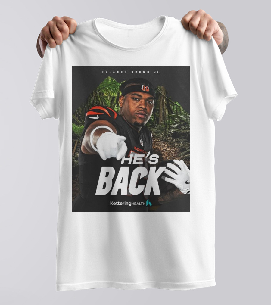 Childless Cat Lady Patriotic American Flag Cat With Sunglasses Shirt