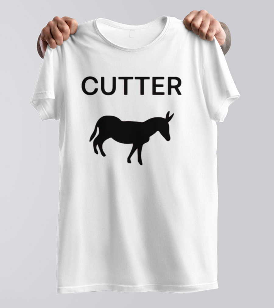 Htown Cj Stroud Football Grid Iron Texas Pride Flames Shirt