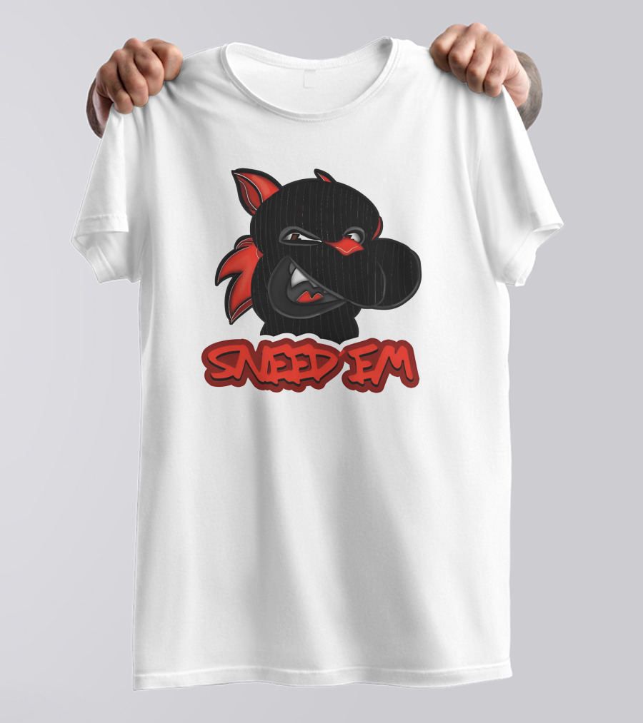 Dropkick Murphys Boston Bruins Skull Hockey Emblem Shirt