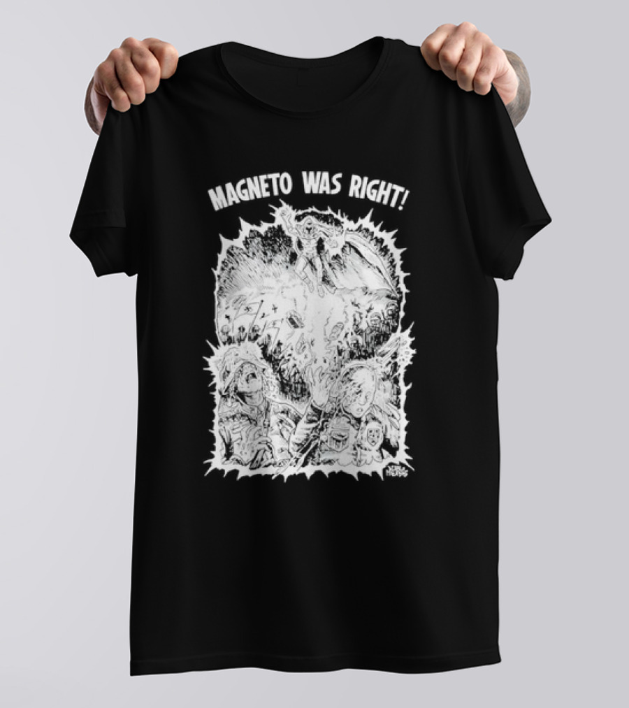 Friend Of The Diddly Doodly New Springfield Boogie Shirt