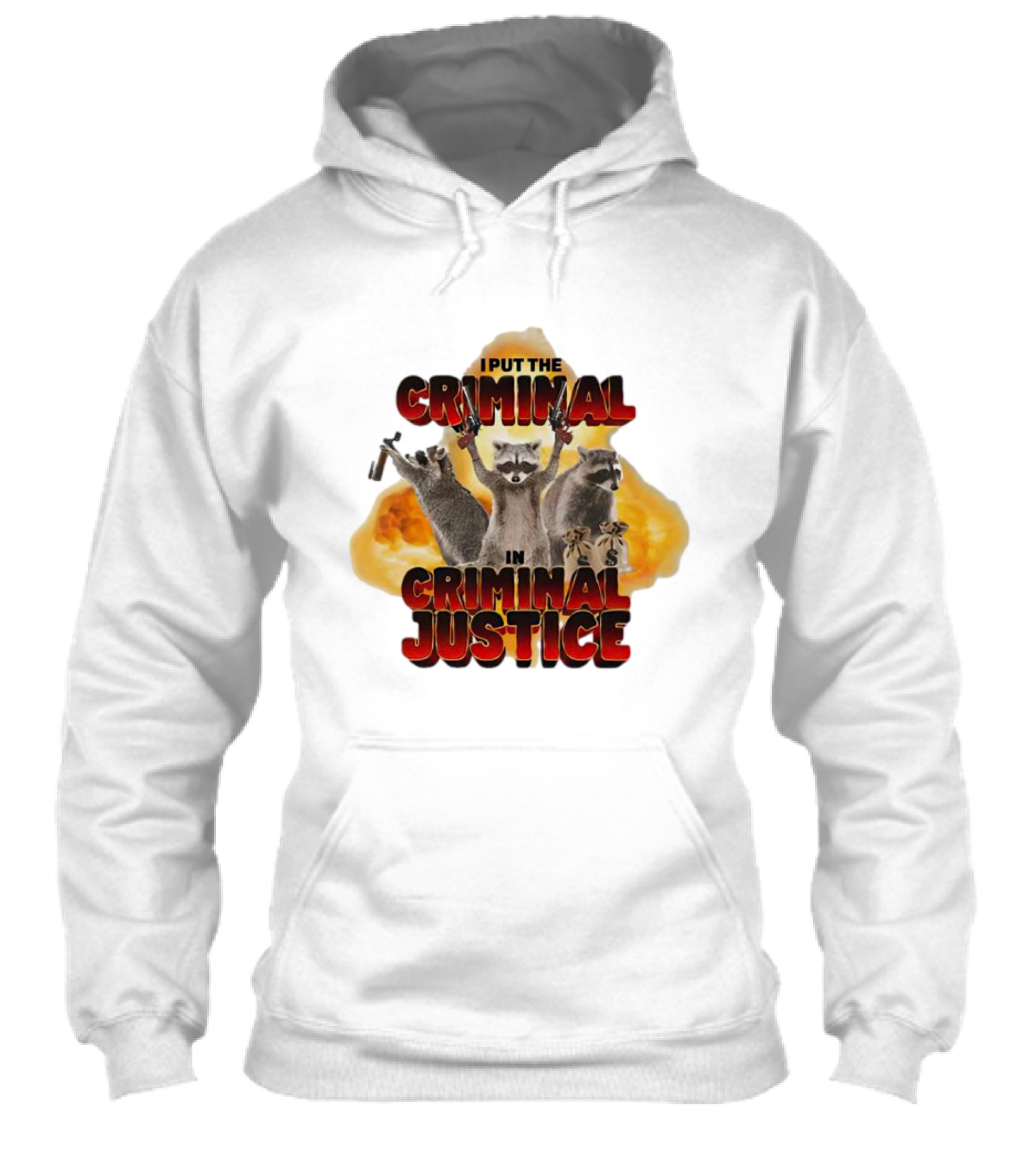 I Put The Criminal In Criminal Justice Raccoon Explosion Shirt