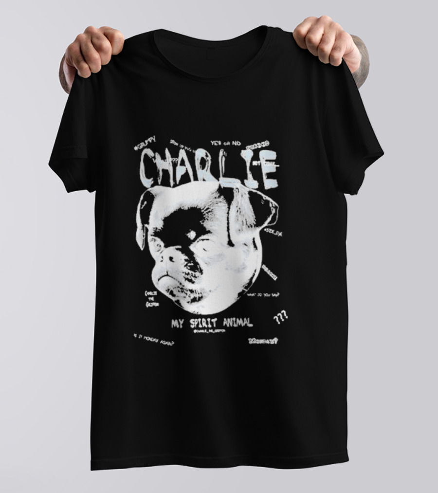 Zebrahead Ride Or Die Europe Concert Dates 2025 Summer Tour Shirt